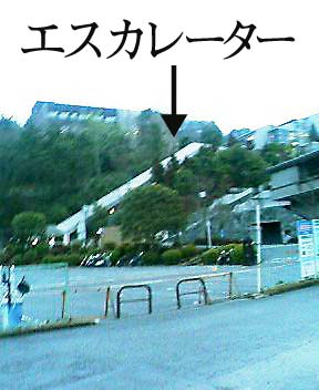 20060222_kyotosan1.jpg